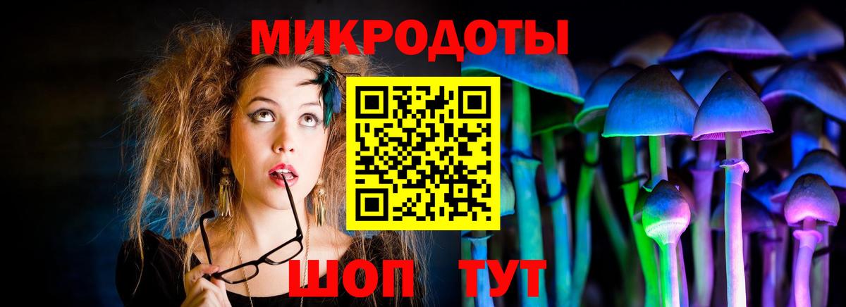 Галлюциногенные грибы Cubensis Сорочинск