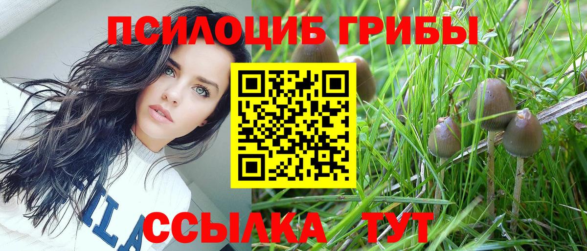 Псилоцибиновые грибы ЛСД  Вход с VPN  Сорочинск 